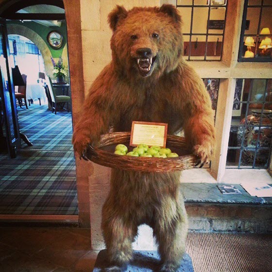 Медведь в гостинице Bear of Rodborough